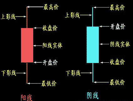 K线的结构可分为上影线、下影线及中间实体三部分-K线学院