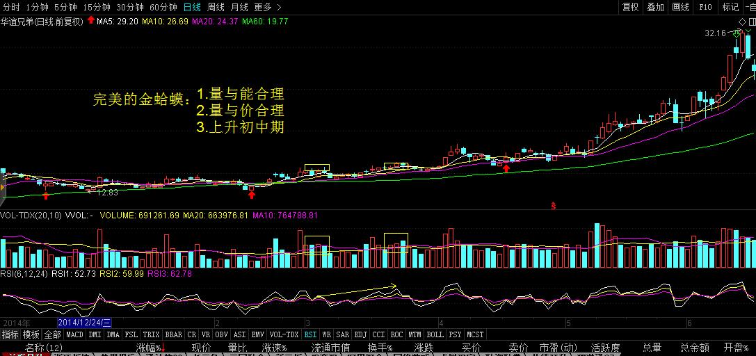 金哈蟆与双头形态