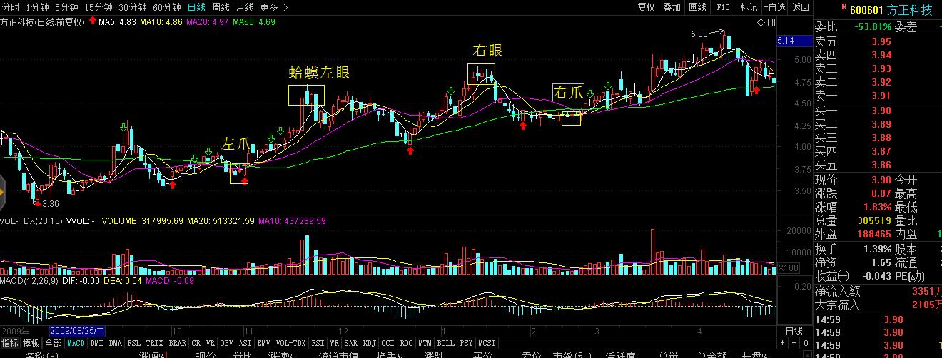 金哈蟆与双头形态