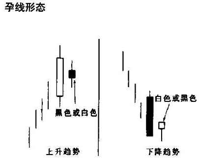 孕线形态