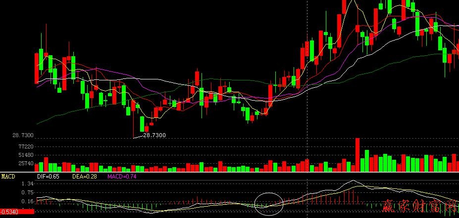 MACD指标应用原则-K线学院