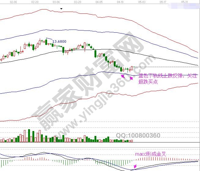 金枫酒业 极反通道图