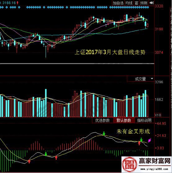 大盘3月份日线走势图形