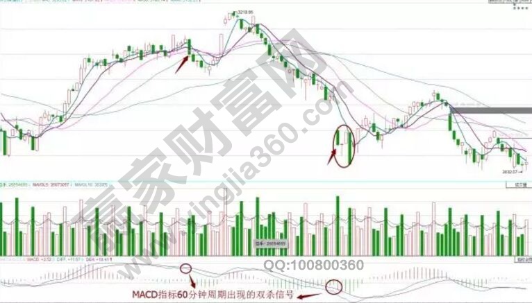 macd双杀信号的相关知识要点分享-K线学院