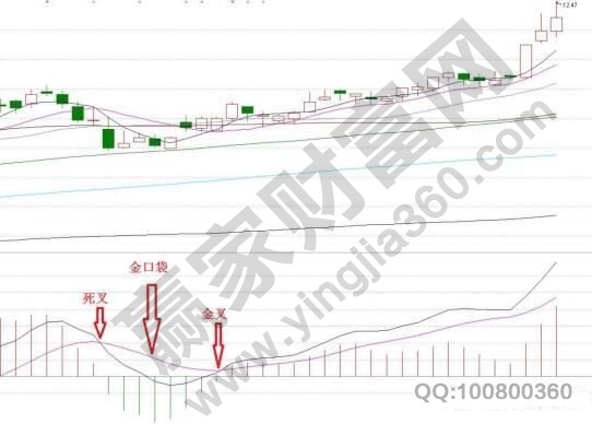 MACD金口袋擒牛股的技术相关讲解-K线学院