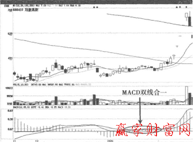 MACD双线合一