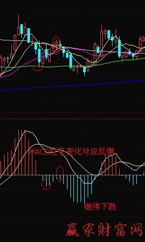 根据MACD绿色柱子变化判断反弹行情-K线学院